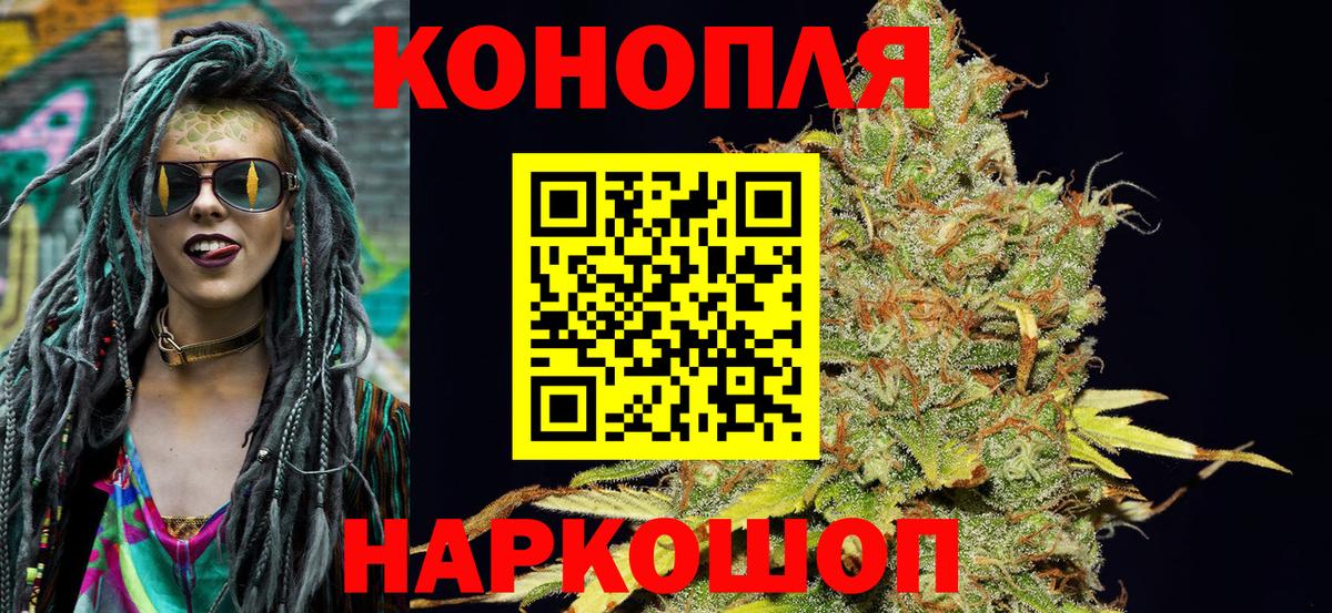 Кимры  МАРИХУАНА планчик  Вход с VPN  Бошки марихуана конопля 